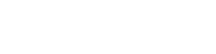 Palantir